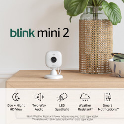 Blink Mini 2 — Home Security & Pet Camera with HD video, color night view, motion detection, two-way audio, and built-in spotlight — 1 camera (White)