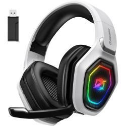 Ozeino 2.4GHz Wireless Gaming Headset for PC, Ps5, Ps4 - Lossless Audio USB & Type-C Ultra Stable Gaming Headphones with Flip Mi