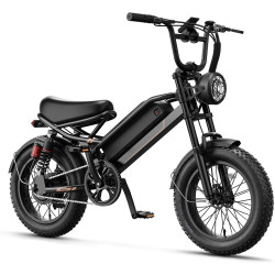 Jasion YR16 Electric Bike for Adults Teens, Peak 1000W Electric Bicycle, 48V 12.5AH Battery Dirt Bike with Dual Suspension & Cruise Control, 16" Fat Tire 55 Miles Moped EBike Fit Teenagers & Adults