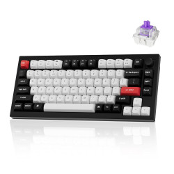 Keychron Q1 HE Wireless Custom Mechanical Keyboard with Hall Effect Gateron Double-Rail Magnetic Switch Rapid Trigger, QMK 2.4 G