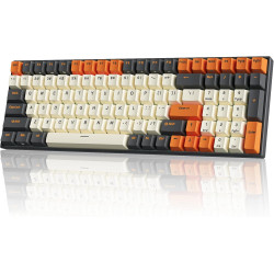 RK ROYAL KLUDGE RK100 Wireless Mechanical Keyboard RGB Backlit Bluetooth5.1/2.4G/Wired 96% Full Size 100-Key Hot Swappable Gamin