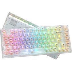 Womier 75% Percent Keyboard, Gasket Mount Mechanical Gaming Keyboard, 82 Keys Wired Custom Key Board RGB Clear Hot Swappable Pre