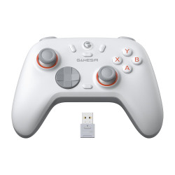 GameSir Nova Lite 2 Wireless PC Controller with Hall Effect Joysticks & Triggers, 2.4G & Wired 1000Hz Polling Rate, Remappable Buttons - Compatible with PC/Switch/Steam/Android (White)